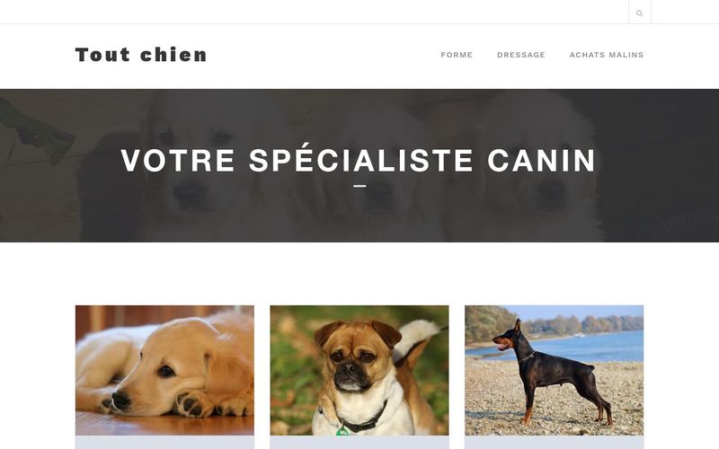 Des conseils pour apprendre la propreté à son chien